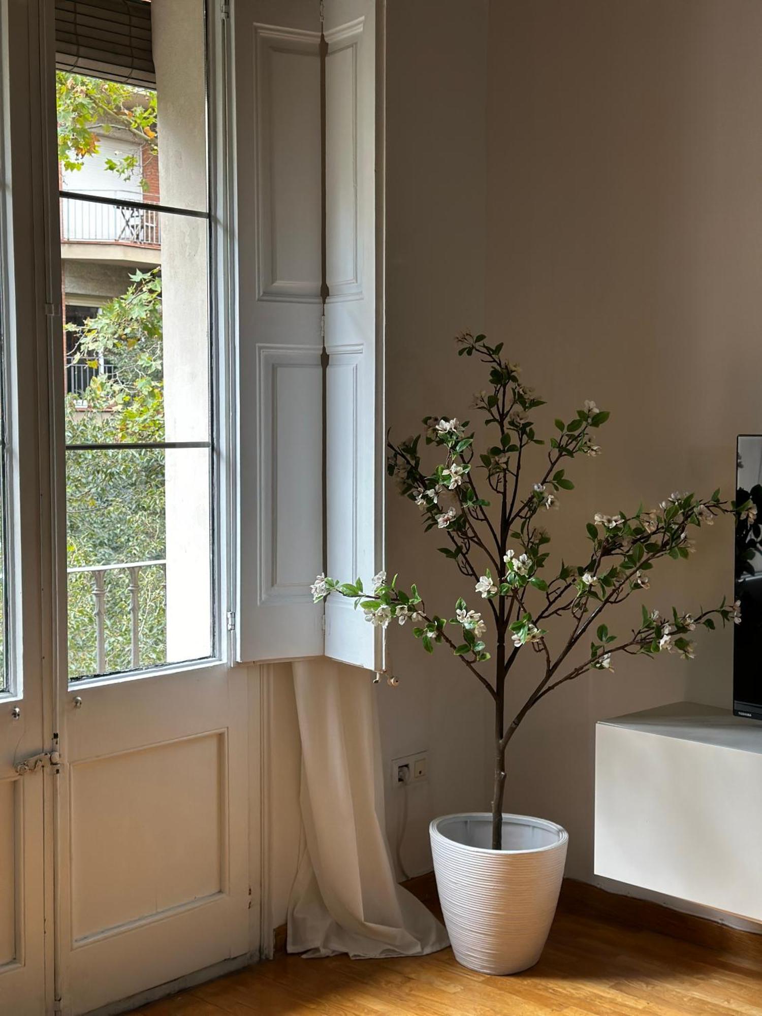 Appartement Dudu Life